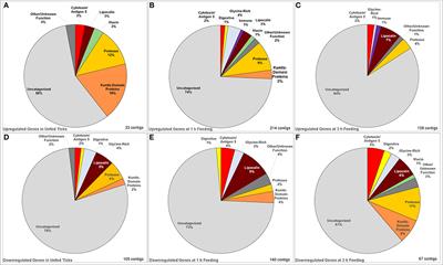 Tick-Borne Encephalitis Virus Infection Alters the Sialome of Ixodes ricinus Ticks During the Earliest Stages of Feeding